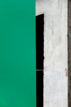 Charger l&#39;image dans la galerie, Figure Verte et Grise 